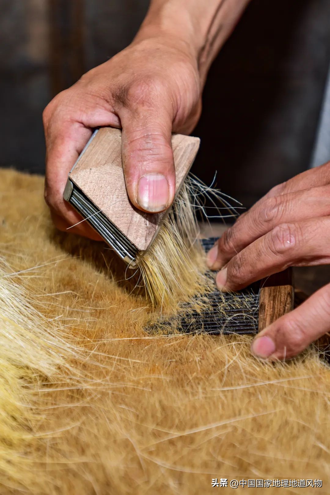 全国各地吃猪图鉴,哪个地方吃的猪最多