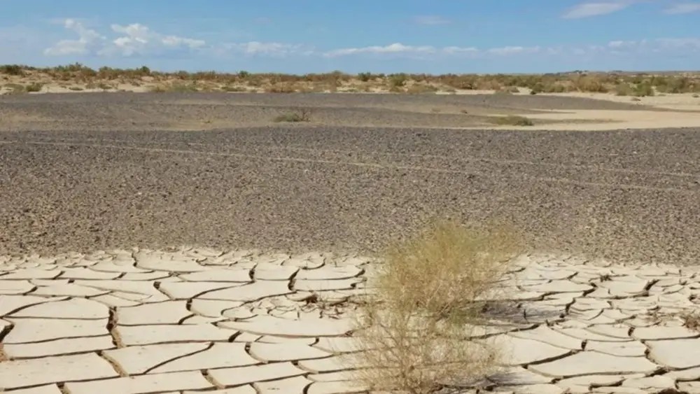 沙漠变绿洲对地球有什么影响,沙漠变绿洲这属于什么现象
