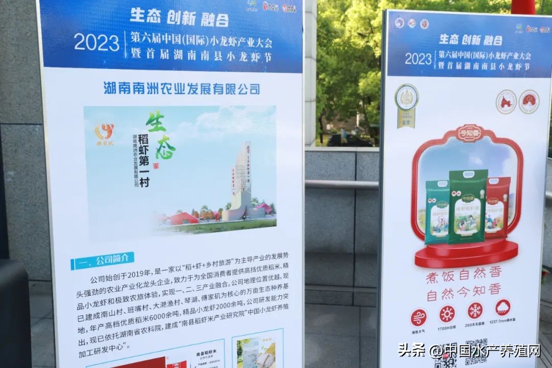 2023年南县小龙虾价格行情,南县小龙虾价格报价