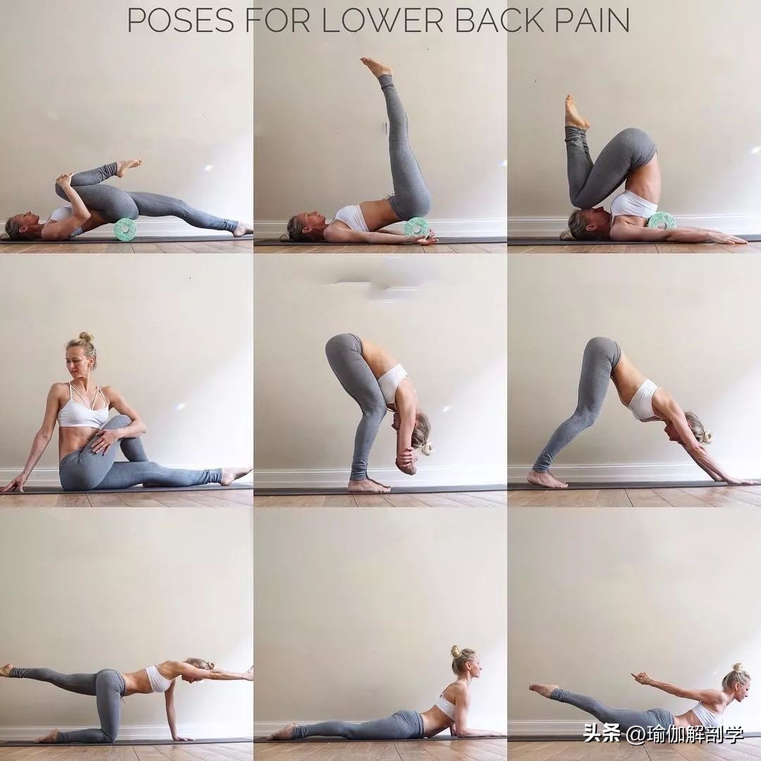 瑜伽初学者必看的十个基本动作,40-50初学瑜伽的基本动作在家练习