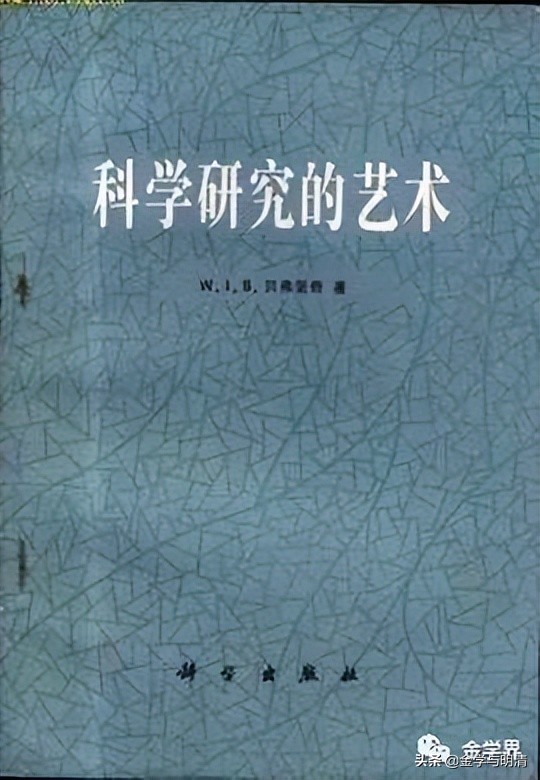 杨国玉玉雕,杨国玉全部视频