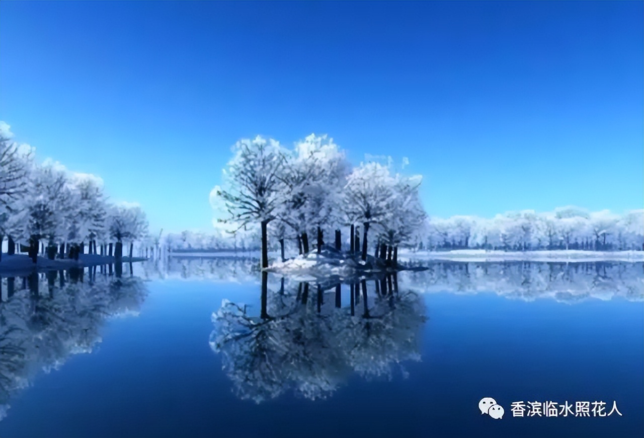 我的家乡英语思维导图怎么画,这儿真美思维导图三年级习作