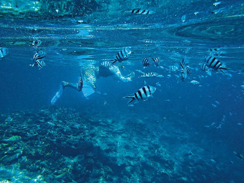 三亚一游客下海游泳不幸溺亡,三亚一游客潜水溺亡事件