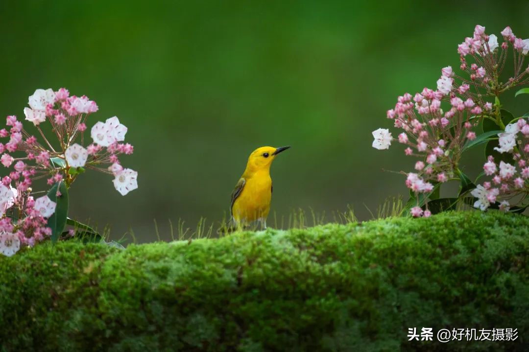 像素不是决定画质的唯一条件,像素和画质的关系