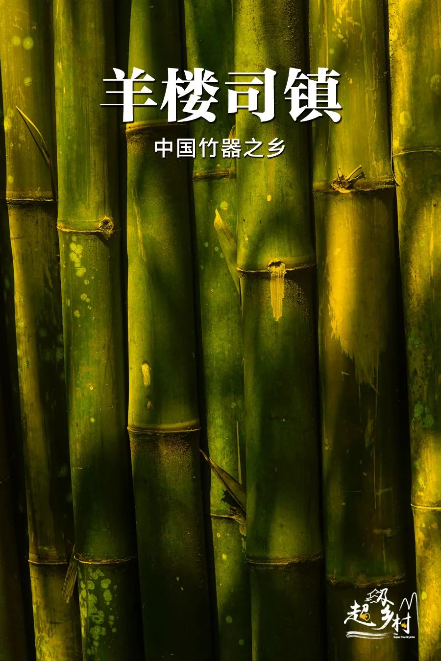 一根竹子撬动百亿产业，这个偏僻的湖南小镇正在创造奇迹