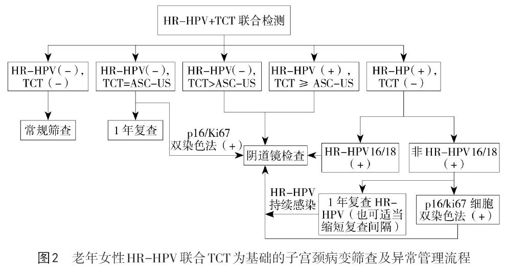老年女性宫颈病变的筛查策略,60多岁的女人怎样查宫颈管病变