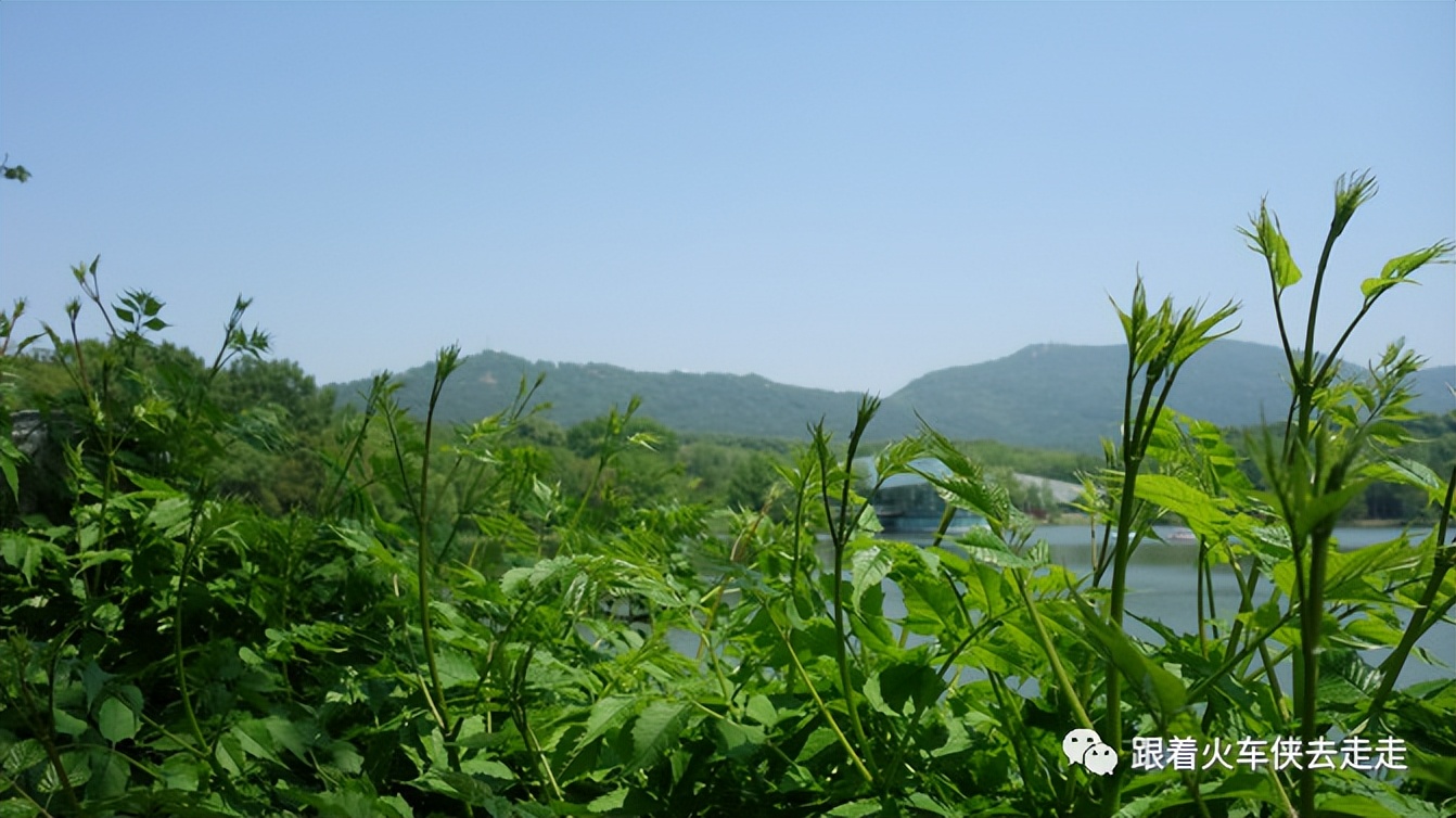 南京城墙下的琵琶湖,南京旅游先看城墙还是先看玄武湖