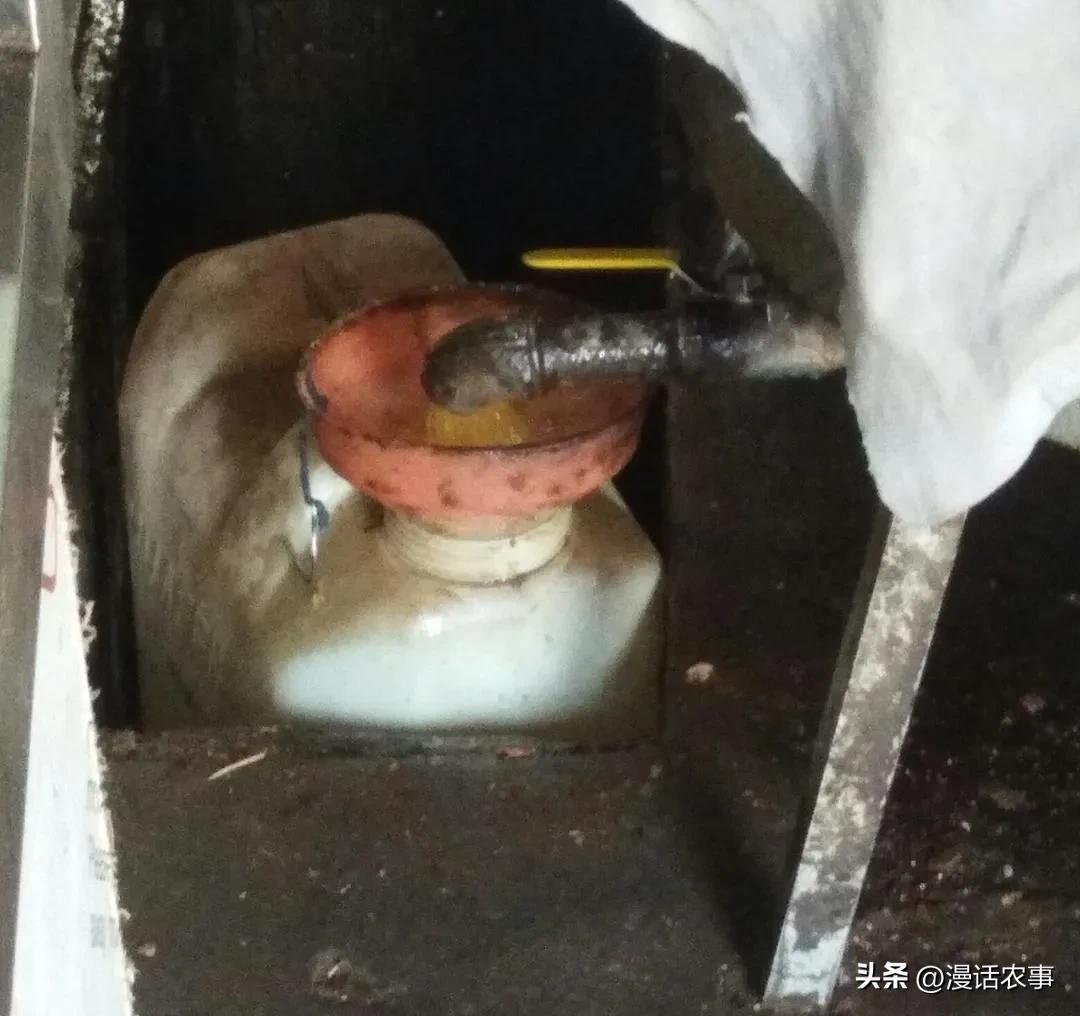 使用土榨油纯手工榨油不安全吗,农村自榨油的危害是什么呢