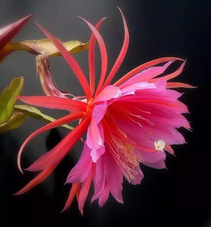 为人处世的20条铁律句句说到要害,为人处世的九大要诀