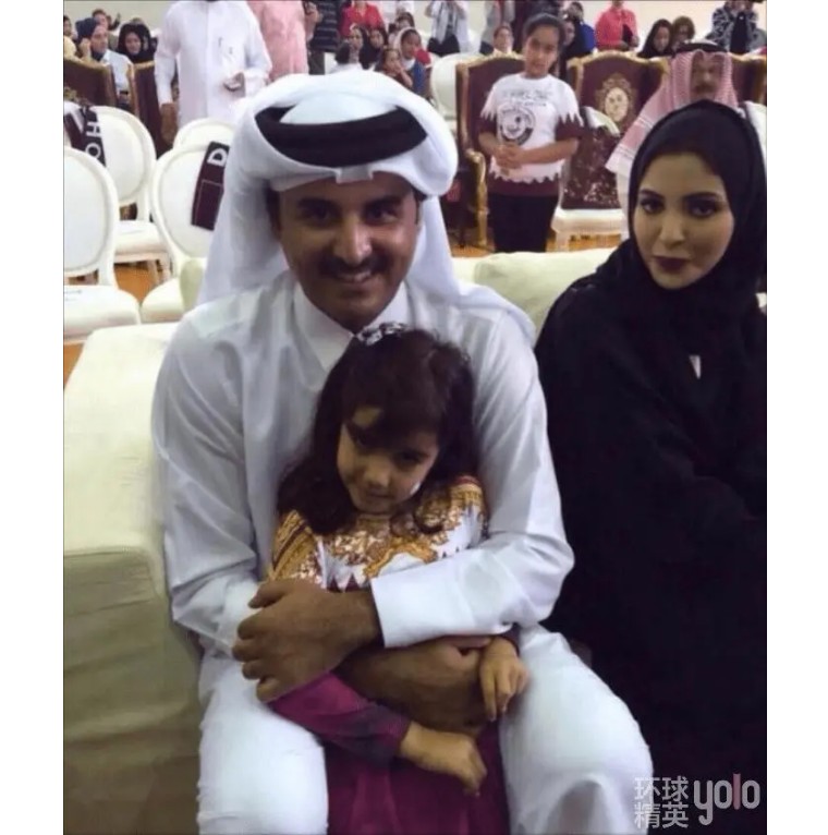 卡塔尔新任埃米尔塔米姆,卡塔尔埃米尔塔米姆资料