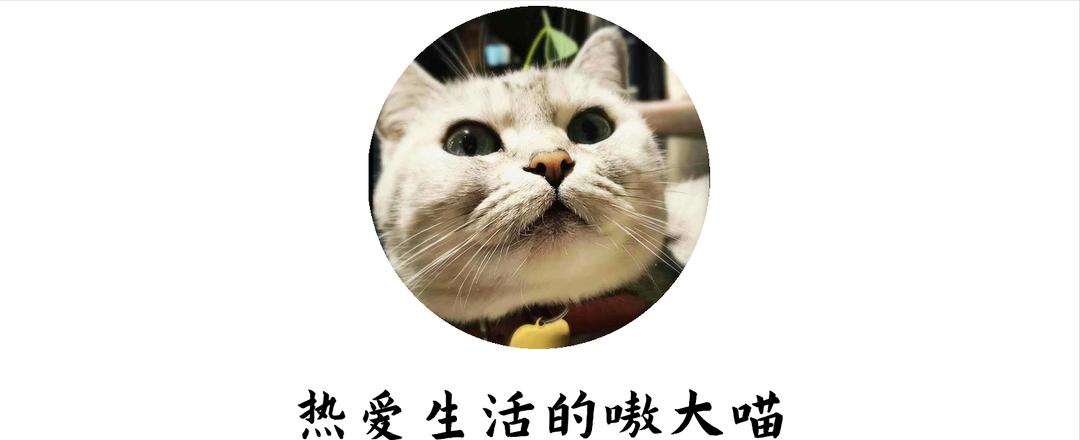 台式的微蒸烤炸一体机如何选,蒸烤炸一体机测评台式