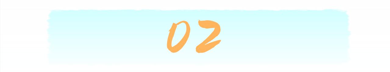 绍伊古评价中国军事,绍伊古看伤兵