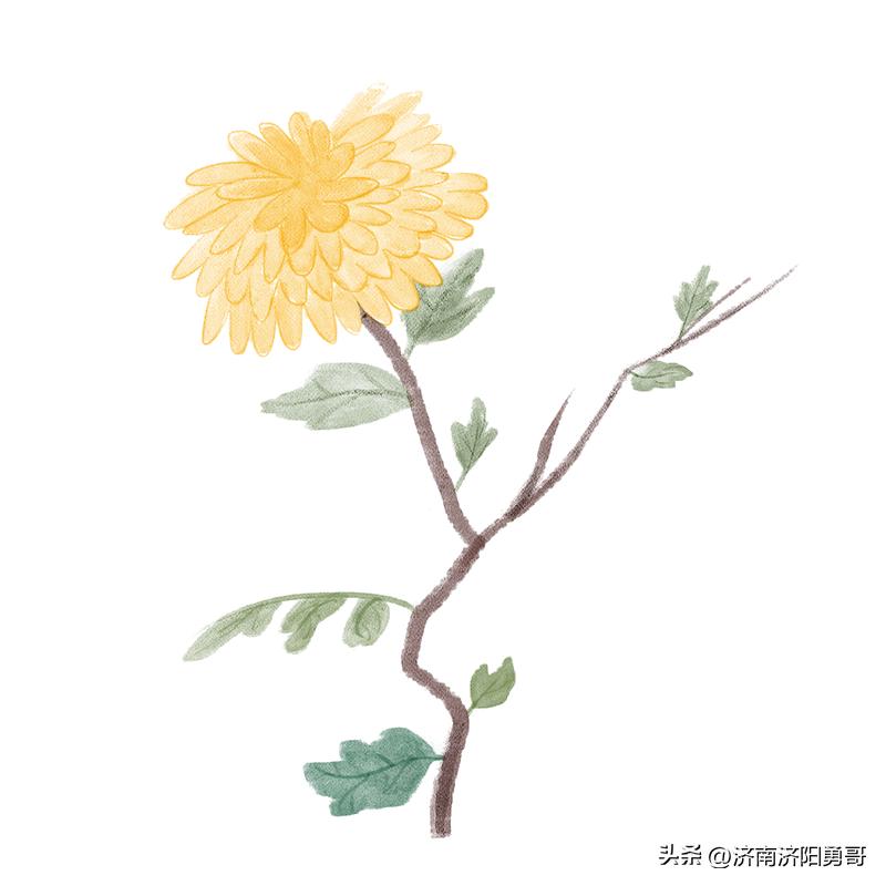 提振信心铆足干劲,提振市场信心