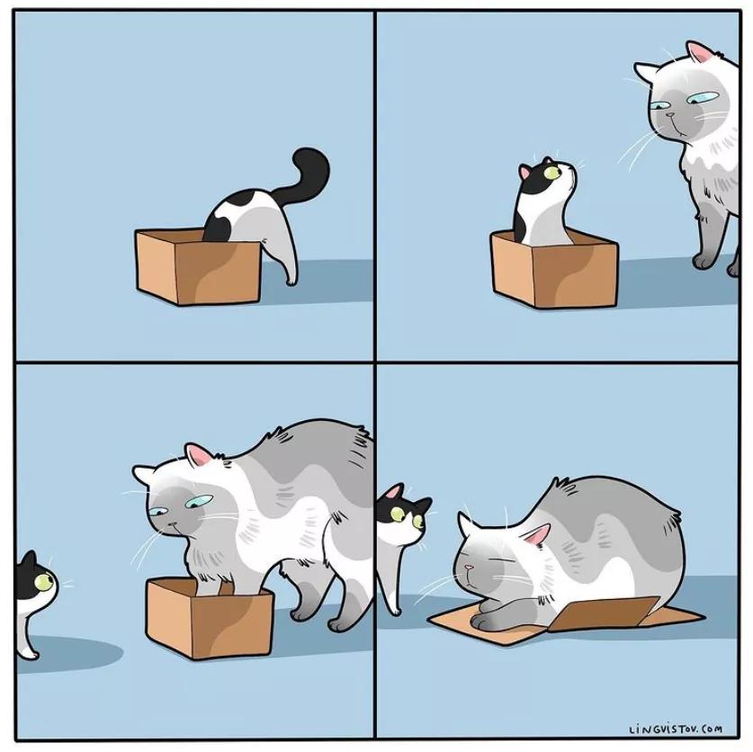 铲屎官和猫主子超级可爱的日常,喵星人与铲屎官一同成长记