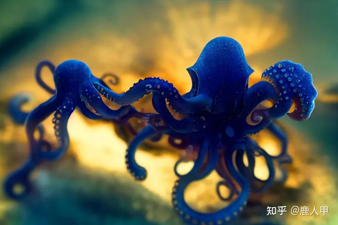 显示器的色域是srgb还是ntsc,显示器的色域值用什么软件测