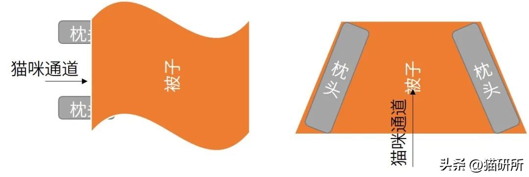 冬天猫咪一直睡觉无精打采,冬天猫咪睡觉会感觉冷吗