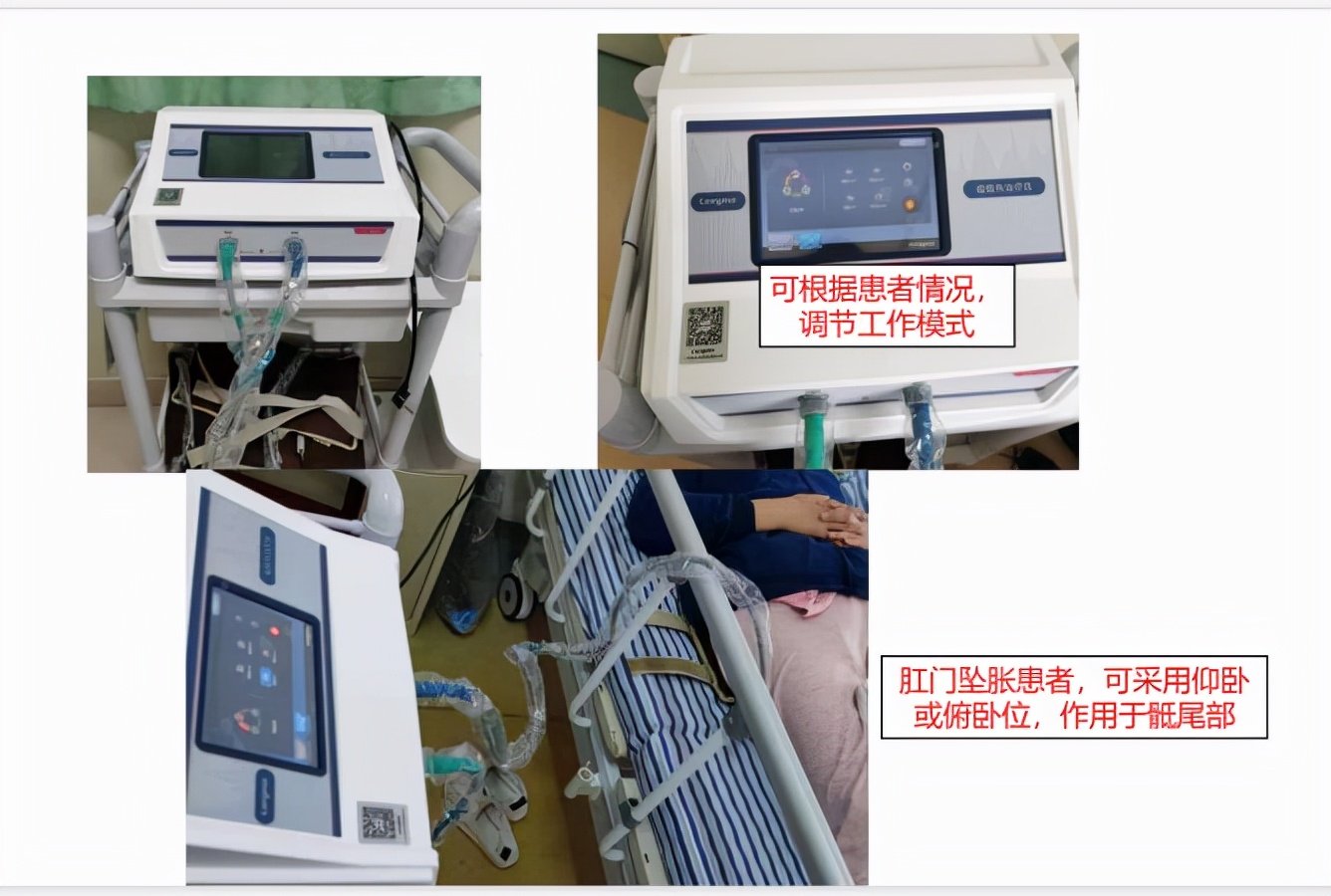 菊花根治肛肠病,中医肛肠和中西医结合肛肠