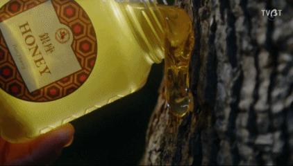 脑洞剧更新！富豪沦为宠物，美*上门女**服务？网友：做梦都不敢想