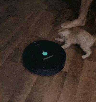 女友今年都二十三了，还是这样，是不是没救了哈哈哈好尴尬