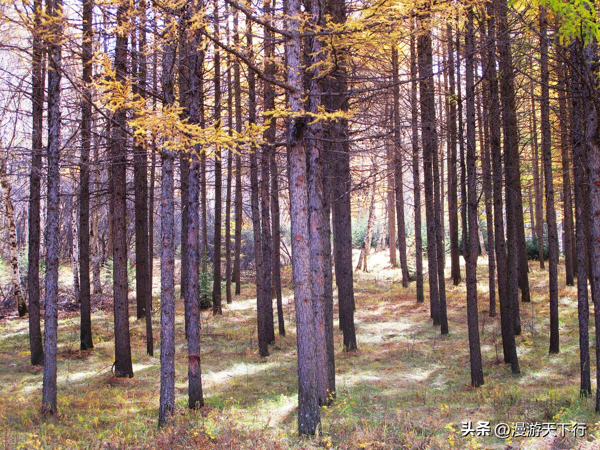 乌兰布统与塞罕坝,我对草原的看法