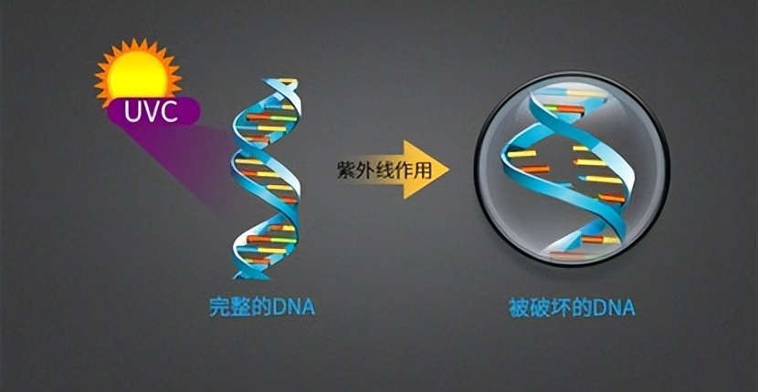 你对原力一无所知,你对人类的力量一无所知