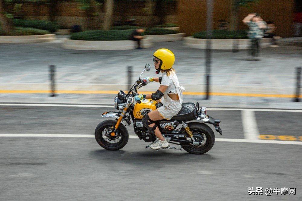 银钢150和蜜獾怎么选,平头哥蜜獾的战斗力有多强