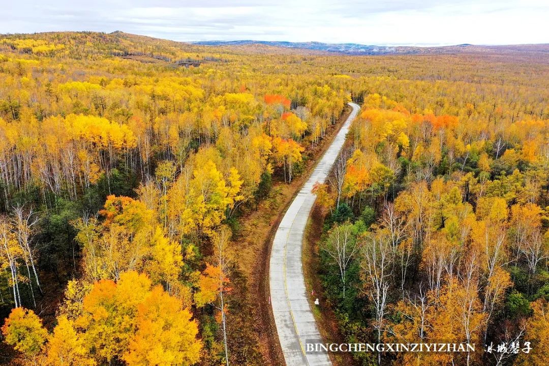 秋天大兴安岭最美的地方,秋天美丽的大兴安岭