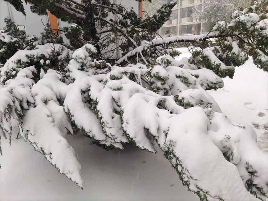 美丽校园行-2|历史生眼中的天津师范大学主校区