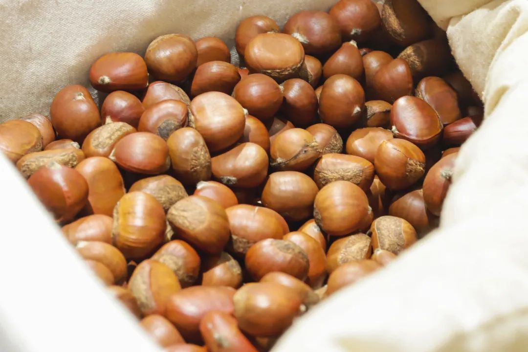 来了，2022太仓栗子不完整种草指南