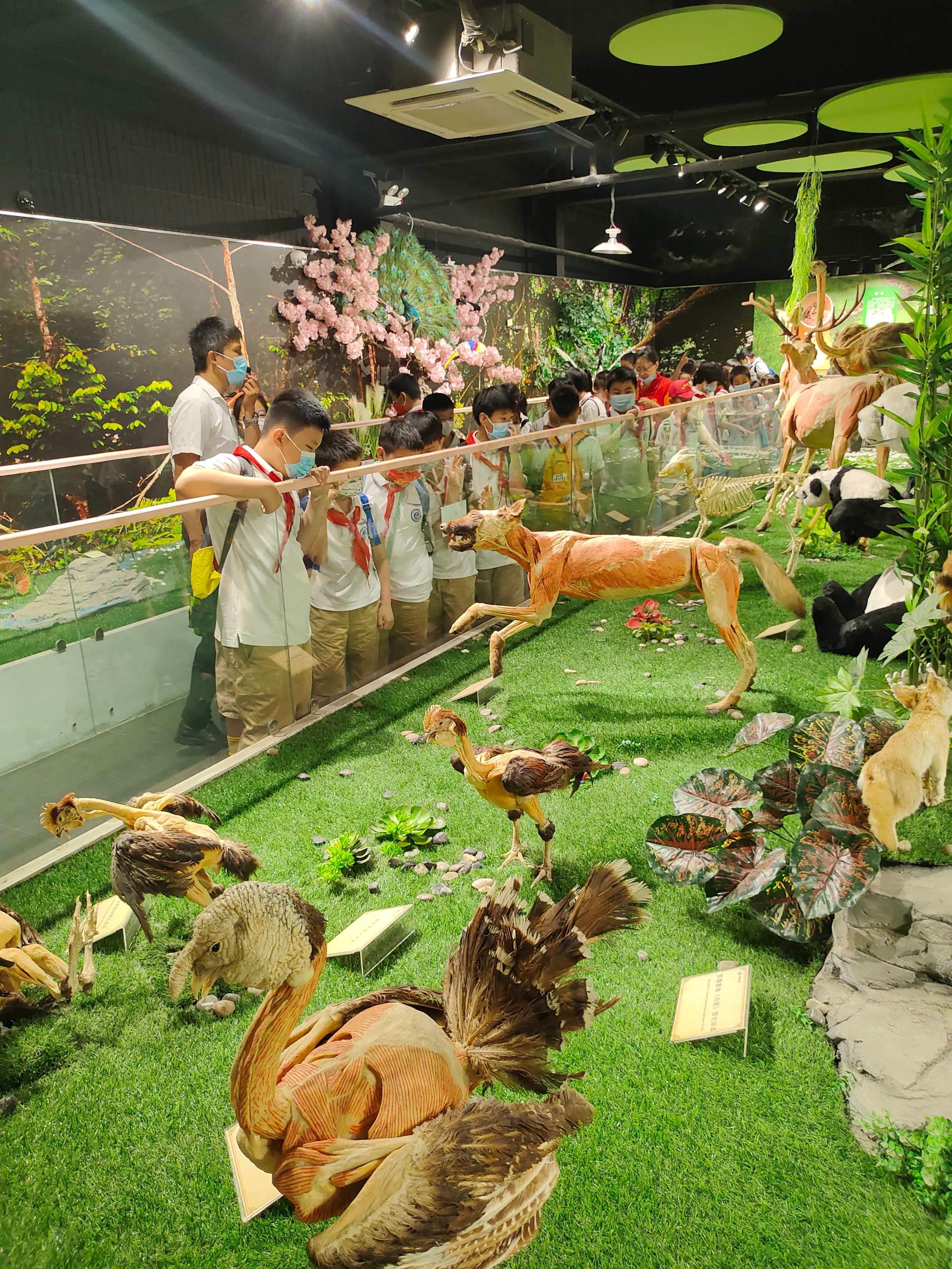 郑州周末学生游玩推荐,郑州夏天周边适合孩子玩免费景点