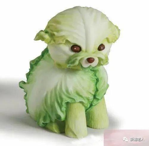 最幽默的段子100句,快乐工作认真生活幽默段子