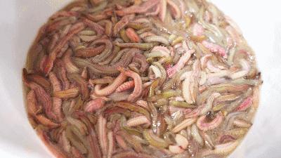 闂芥睙閲岀殑鍐櫕澶忚崏,绂忓窞闂芥睙閲岀殑鍐櫕澶忚崏