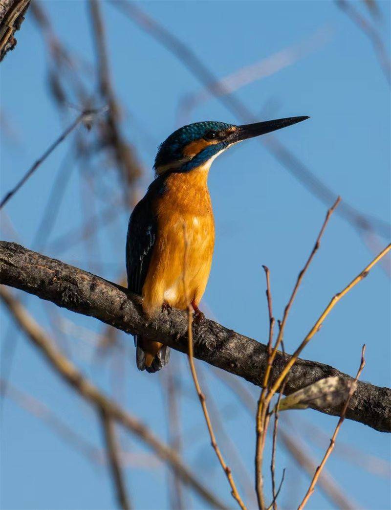 大理开启大理之旅,冬季的大理适合旅游吗