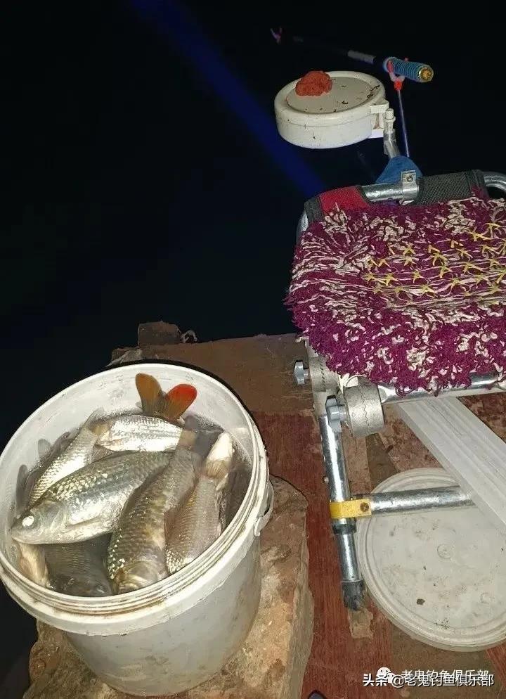 隆冬寒夜，*战野**之王·腥香暴连一桶