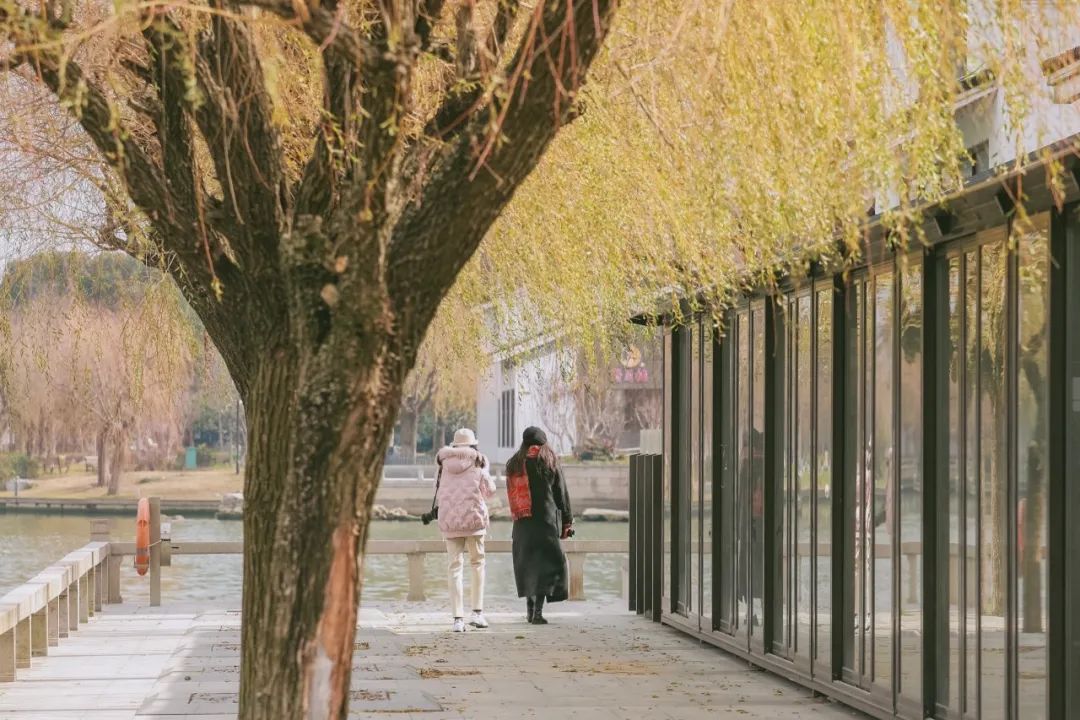 去苏州旅游哪里好玩一日游,苏州江南古镇