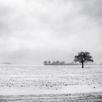 人生哲理的小故事视频,人生哲理小故事在线听