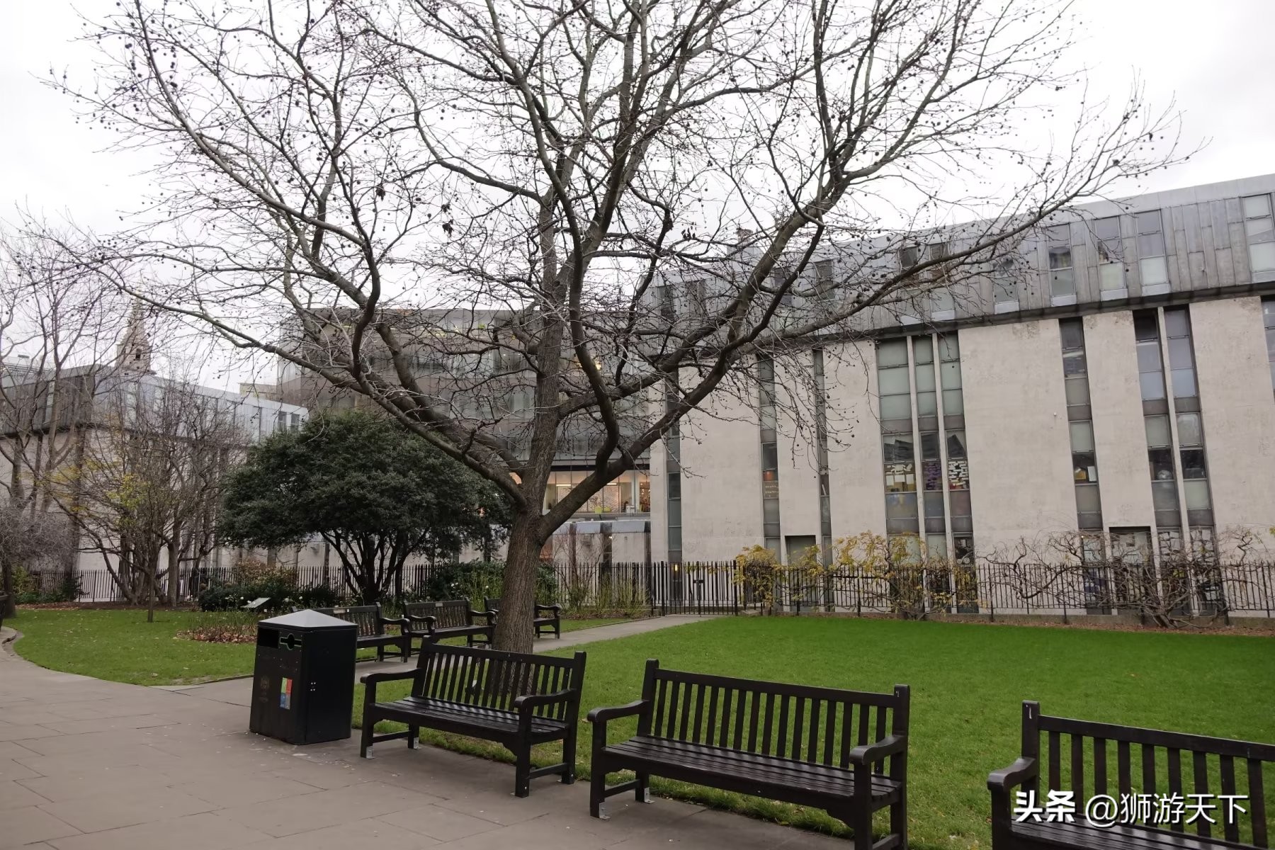 英国陪读能做什么,英国陪读