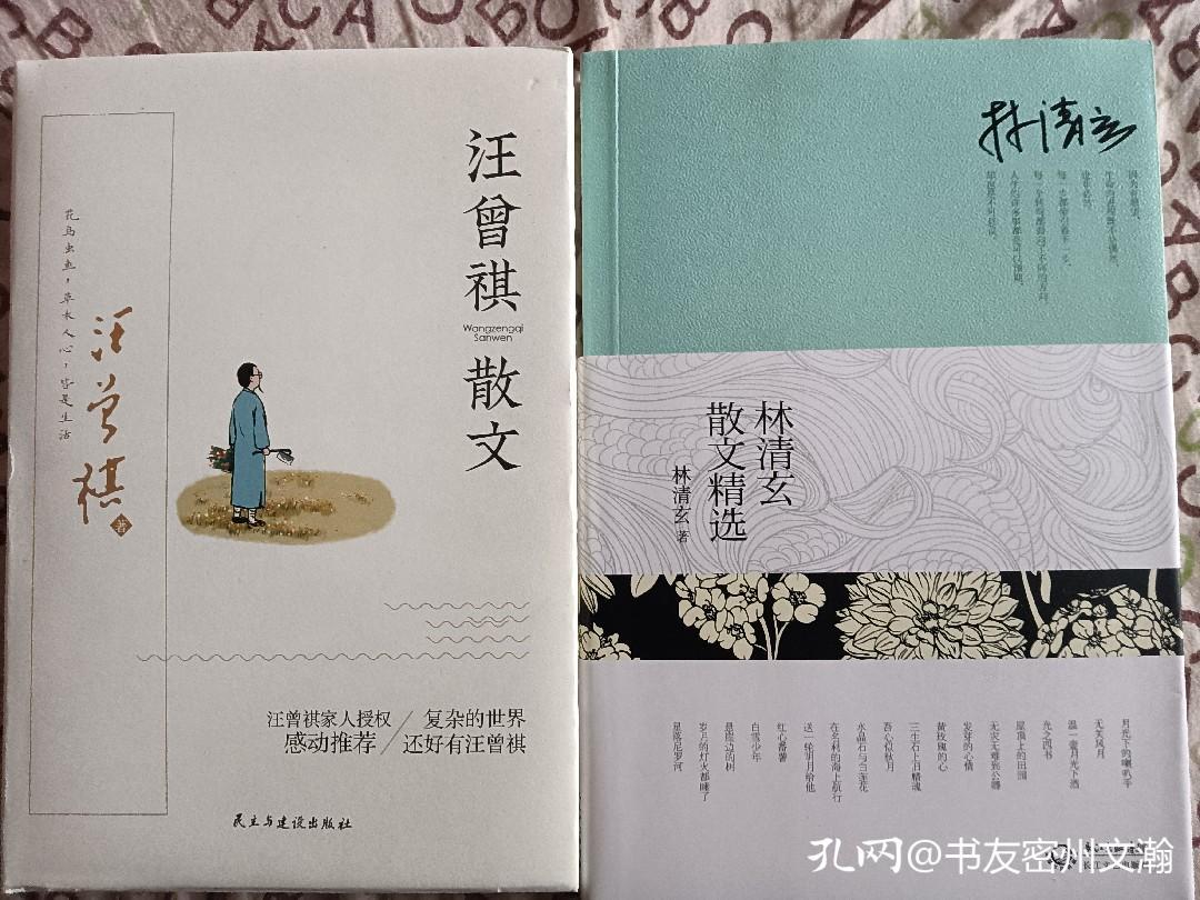 淘书记买书怎么砍价,淘书记推荐的书