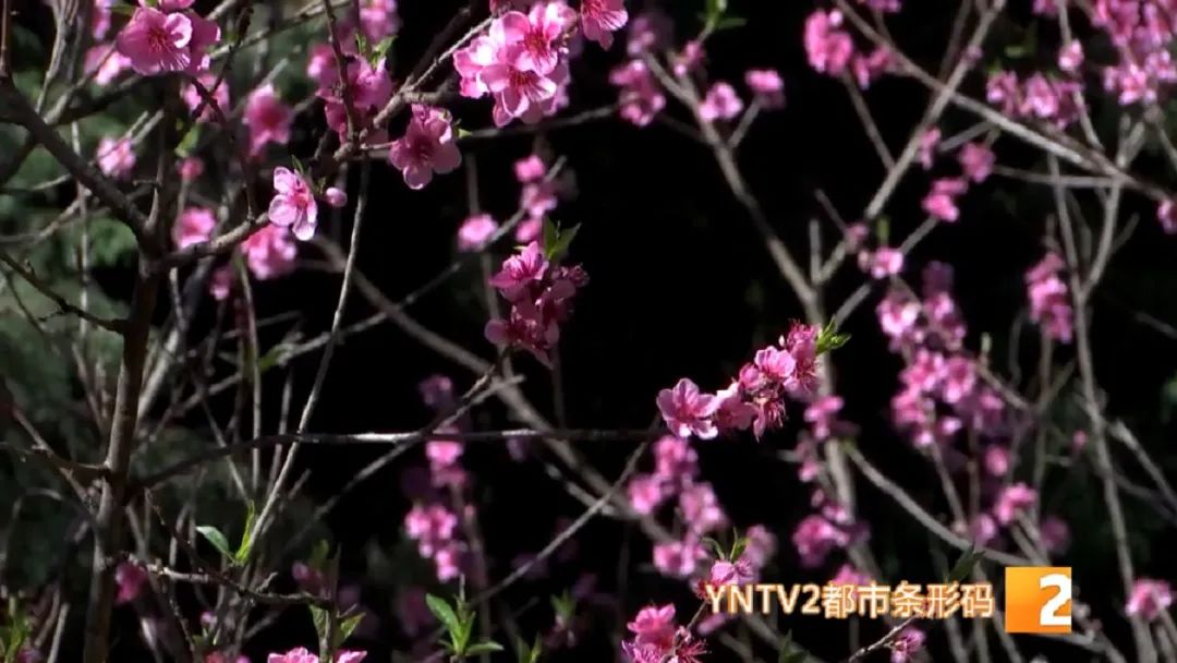 冷空气大风天过敏怎么预防,夏天紫外线过敏冬天冷空气过敏