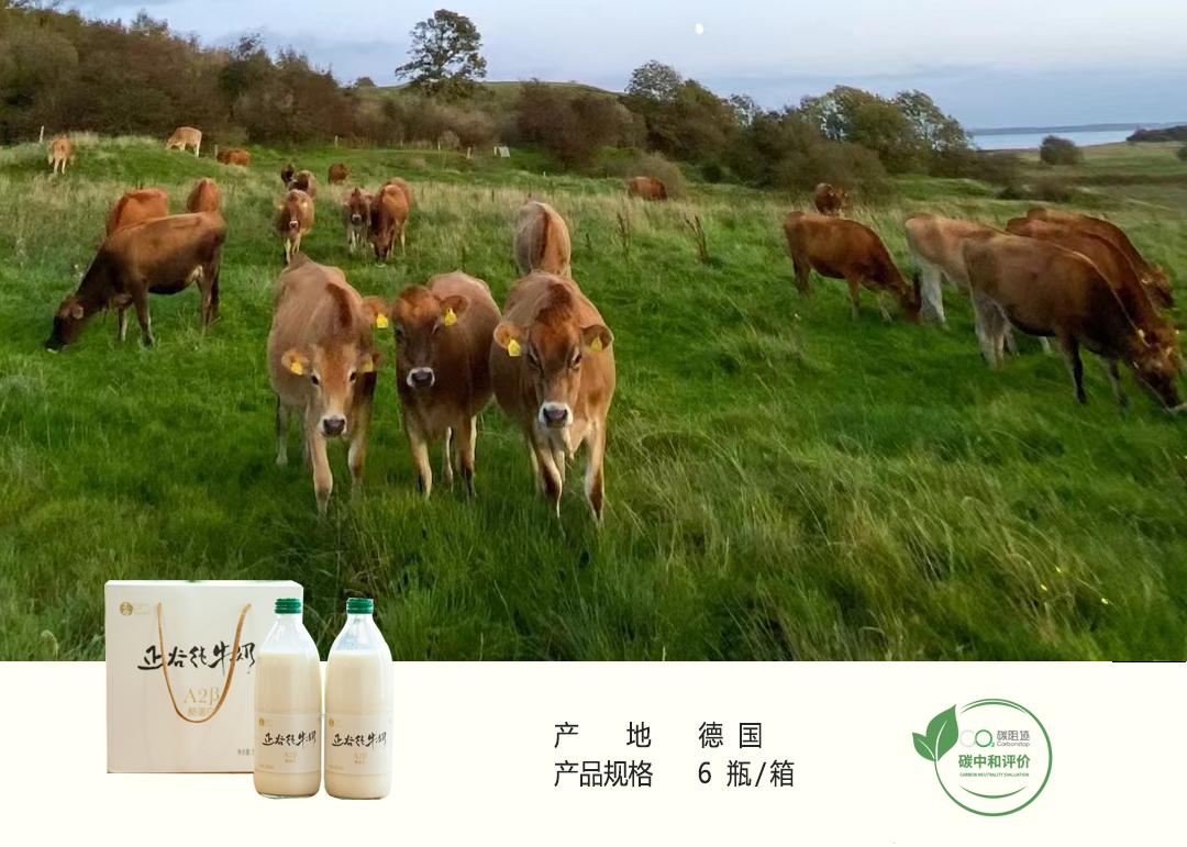 正谷牛奶,金典酪蛋白纯牛奶