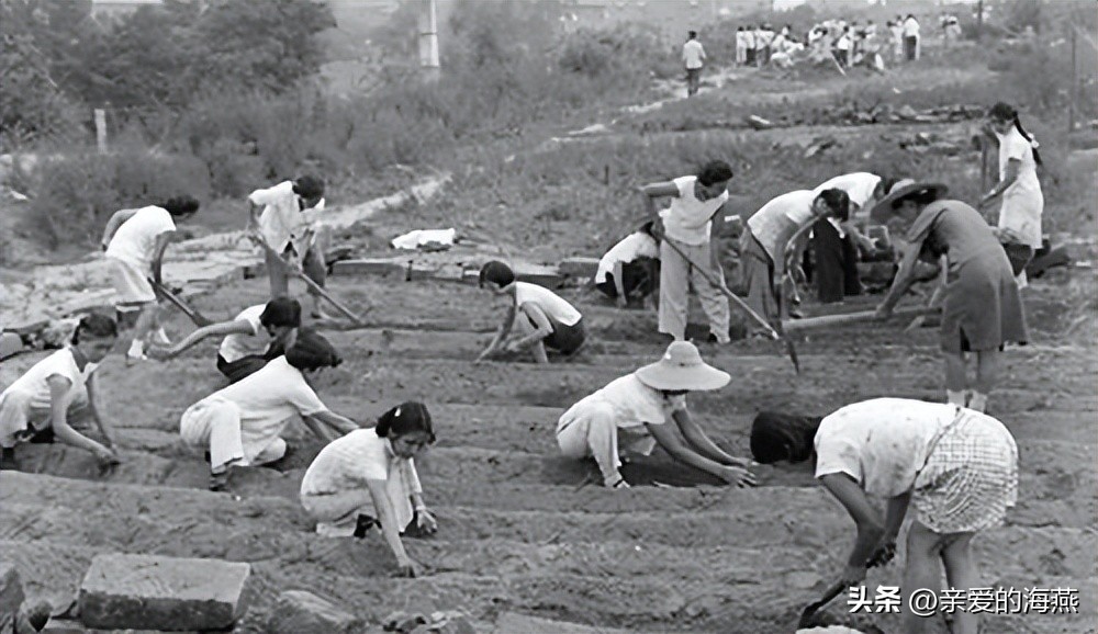 四十年前68张老照片,四十年前老照片大全