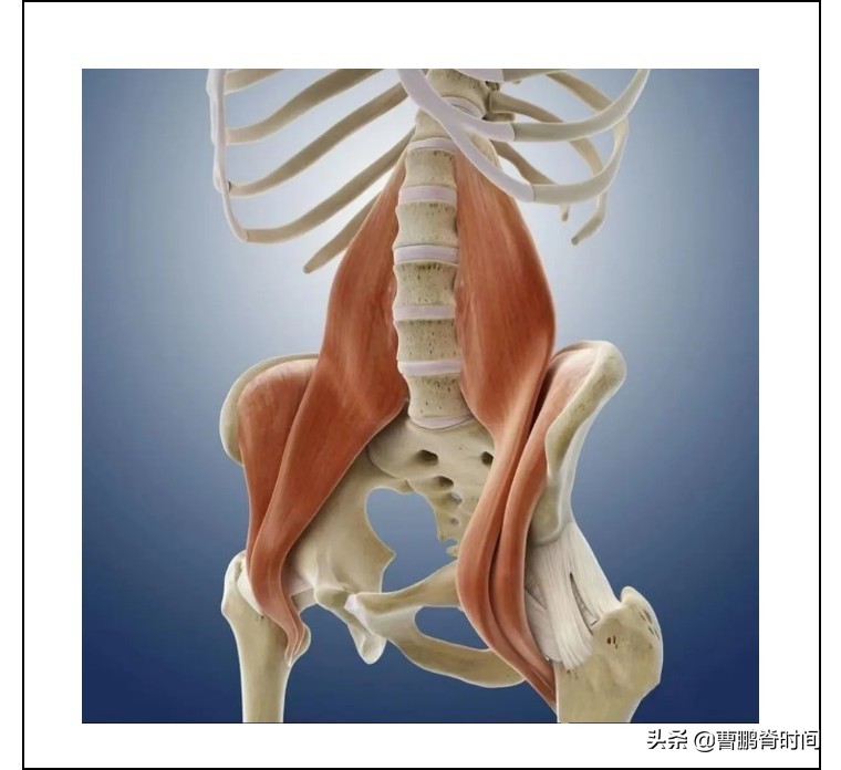 儿童腰痛警惕四种病,小儿腰痛科普