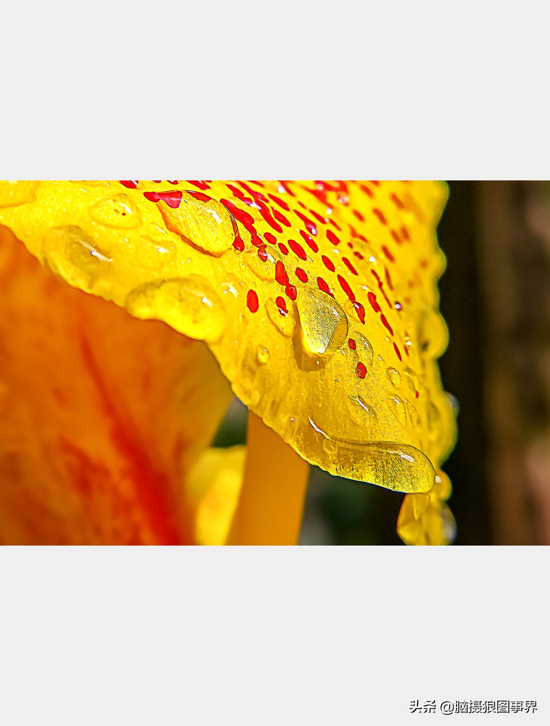 手机拍照不清晰怎么才能拍的好看,vivo手机拍照模糊怎样才能变清晰