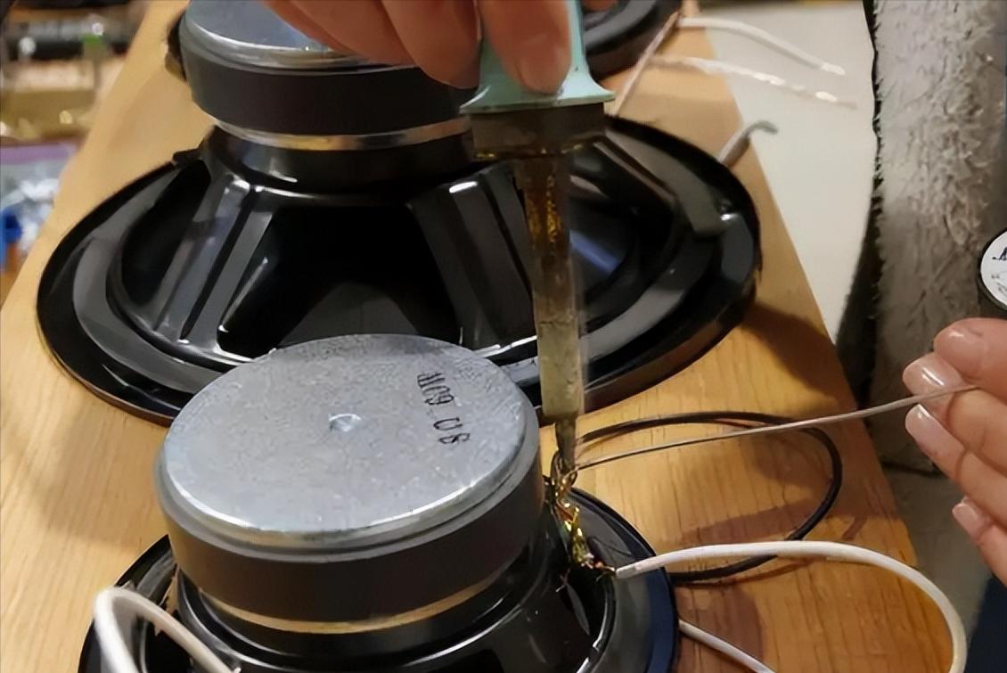 电池大王钟馨稼简历,电池大王钟馨稼