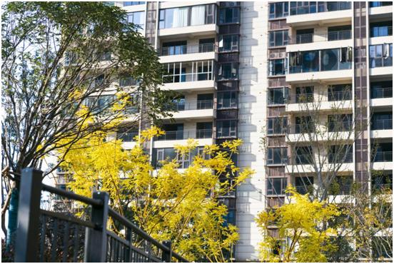 上栗碧桂园天麓什么时候交房,上栗碧桂园天麓园