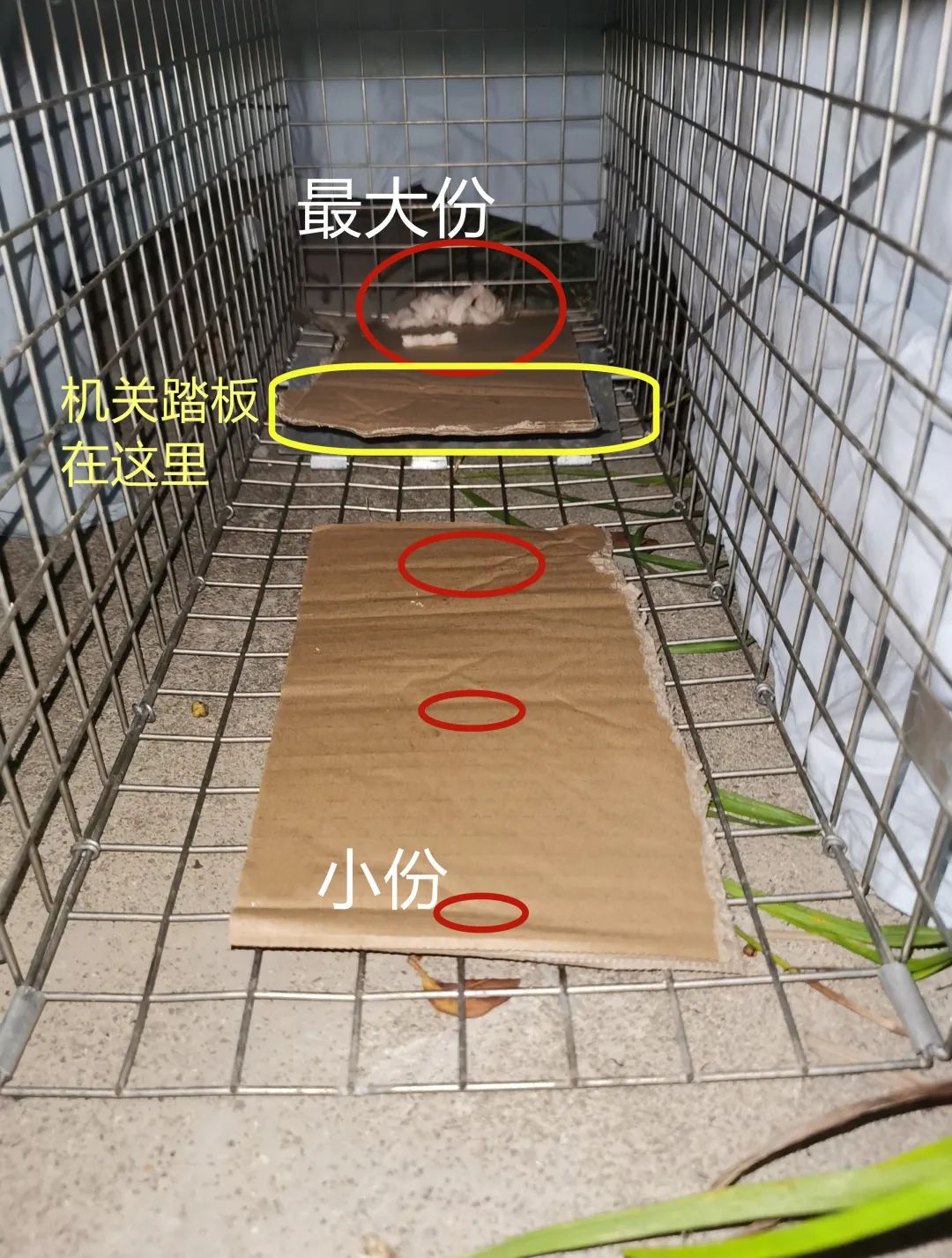 “好开心啊，我终于被人绑架了”