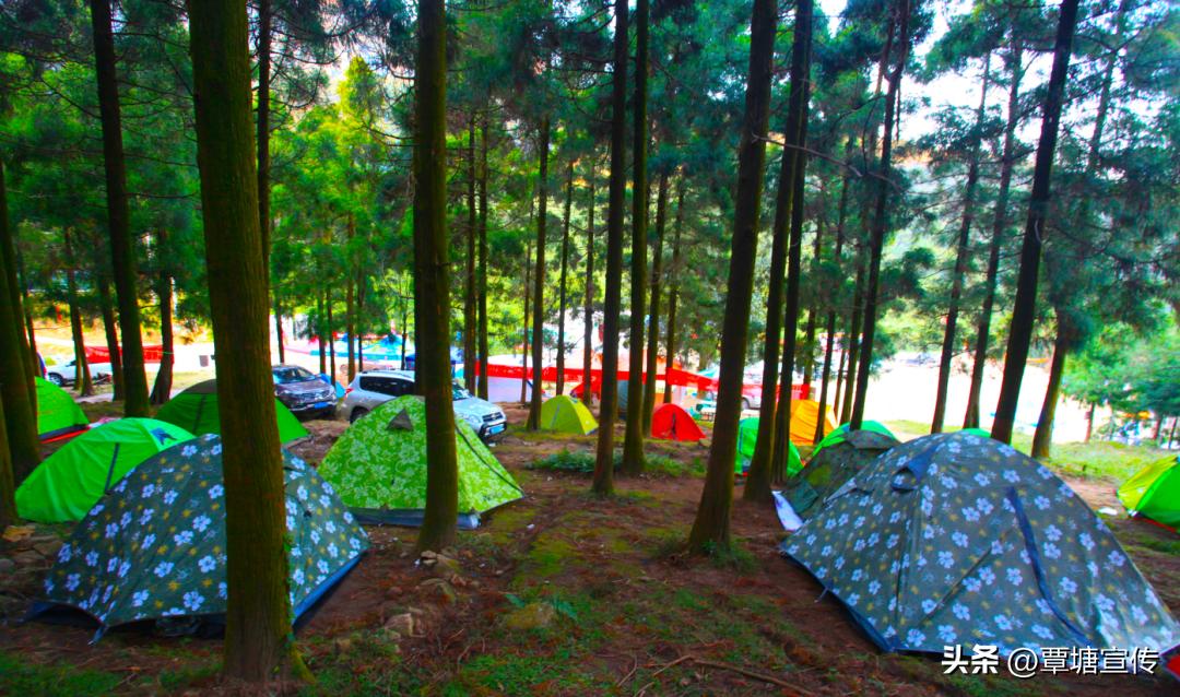 钦州市宣传口号征集,贵港市宣传口号