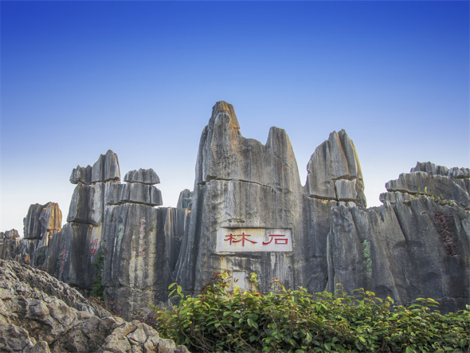 云南旅游避坑攻略一日游推荐,1月份一个人去云南旅游避坑