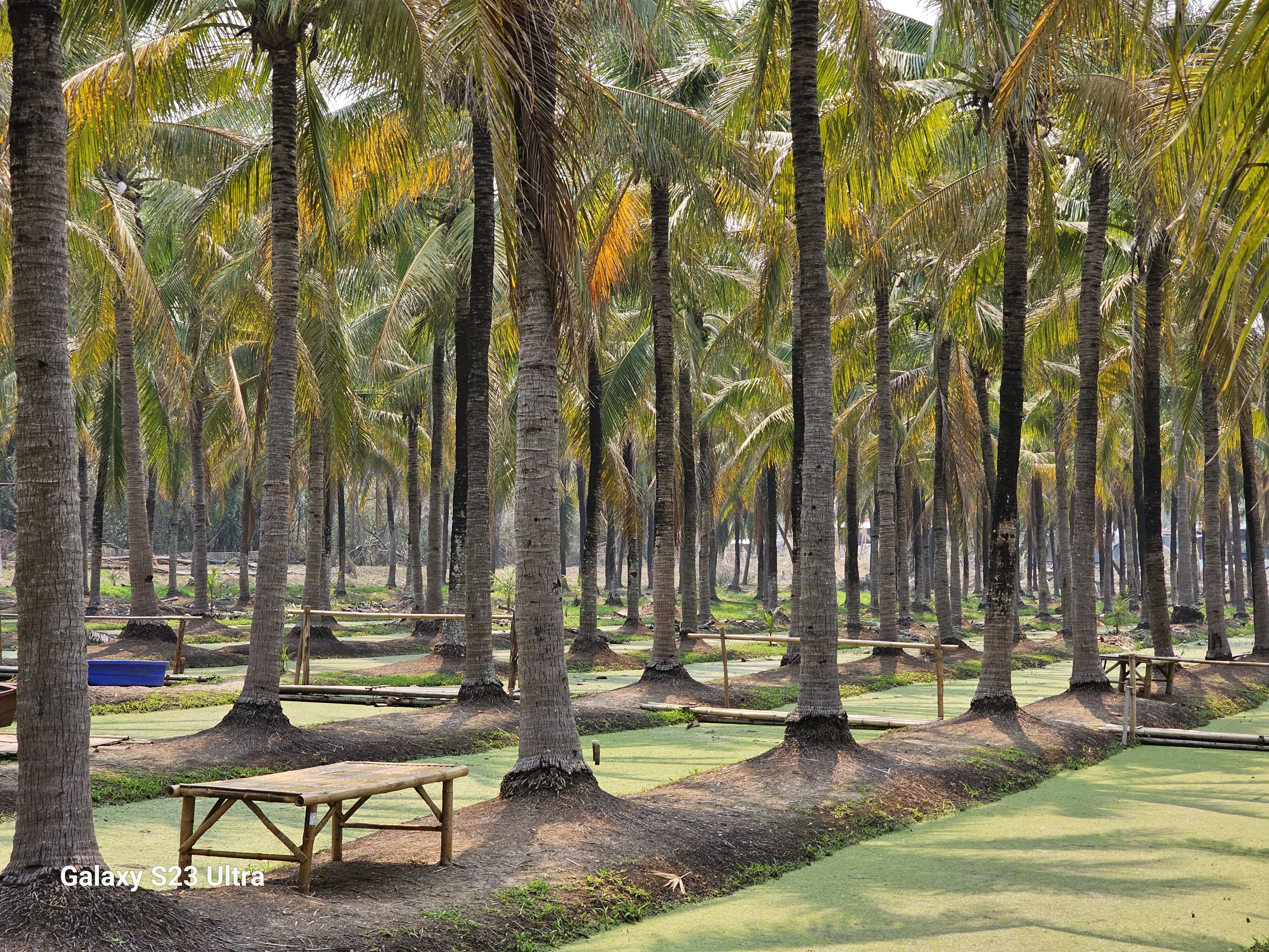 带GalaxyS23Ultra游泰国：随手记录星辰大海