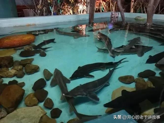 鍝堝皵婊ㄦ瀬鍦伴娓哥帺鏀荤暐,鍝堝皵婊ㄦ瀬鍦伴娴锋磱涔嬪績